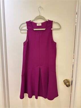 Everly Sleeveless Fuchsia Flare Dress